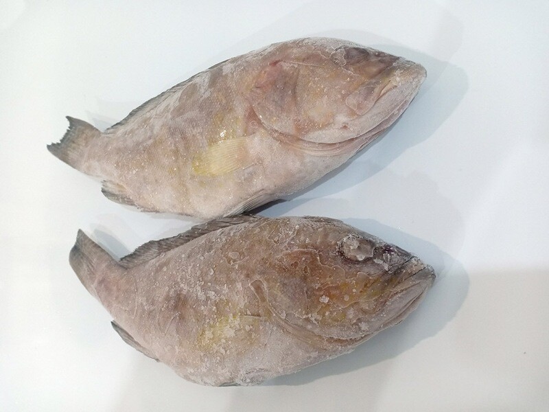 Lapu Lapu (Grouper) for Export