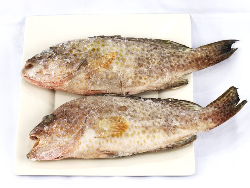Lapu Lapu (Grouper) for Export