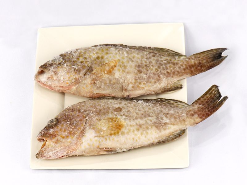 Lapu Lapu (Grouper) for Export