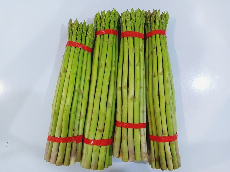 Fresh Large Asparagus For Export 500gms