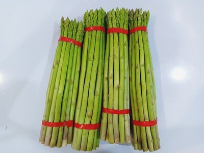 Fresh Large Asparagus For Export 500gms