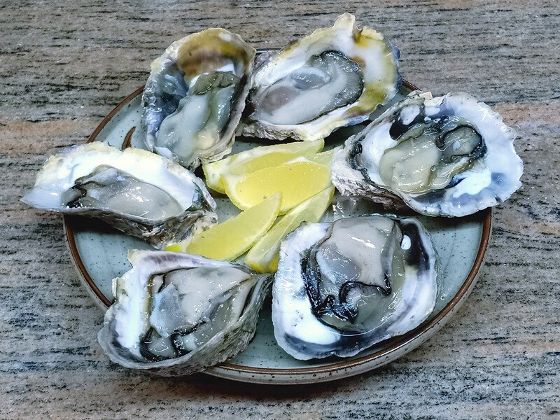 Live Slipper Oysters 1kg (10-12 pieces)