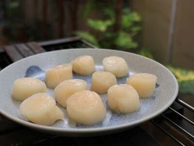 Hokkaido Scallop Meat Large 10/20 500gms