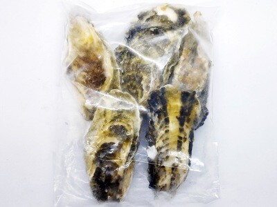 Sashimi Grade Japanese Whole Shell Oysters 5pcs