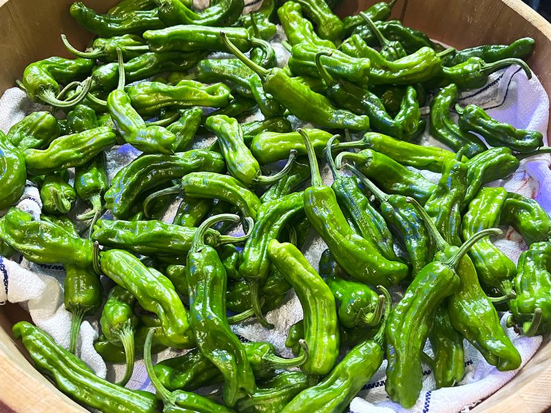 Shishito Peppers 200gms