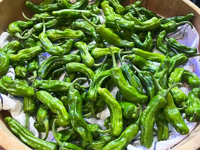 Shishito Peppers 200gms