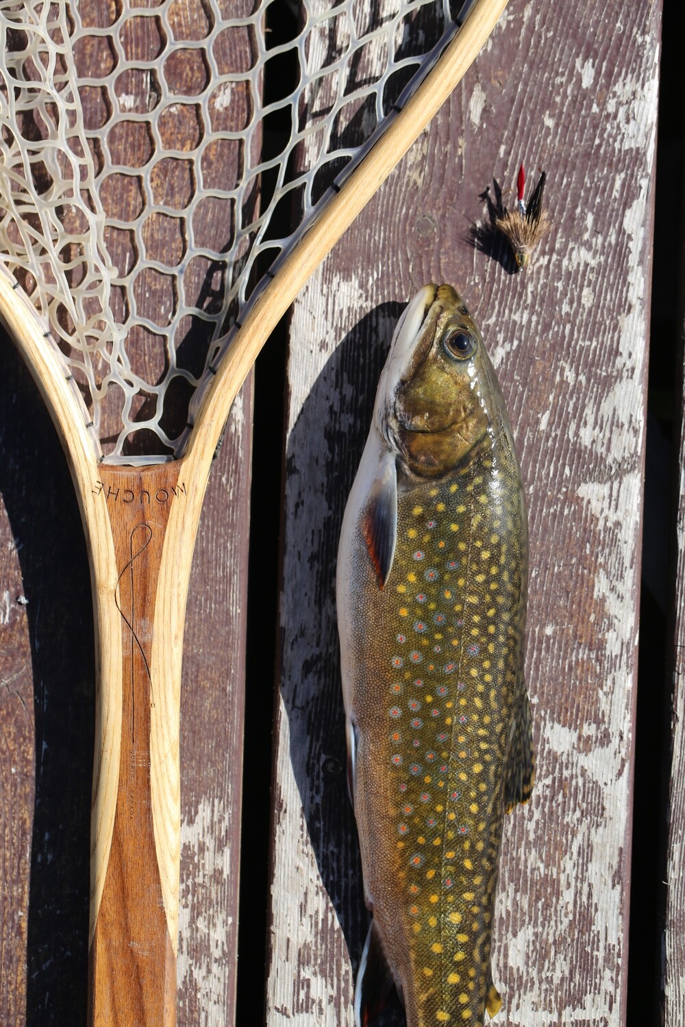 Location de canne et moulinet