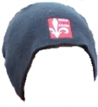 Troop Beanie
