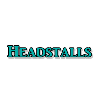 Headstall PDF