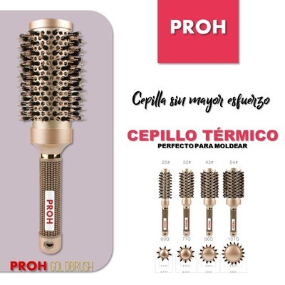 Cepillos para Cabello PROH GOLD BRUSH, Juego de 4 Cepillos Profesionales