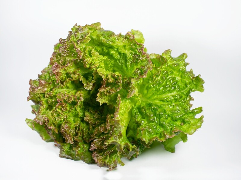 Red Leaf Lettuce Container