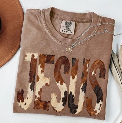 Jesus cowhide brush stroke