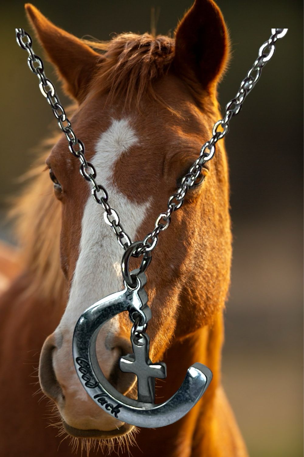 Horseshoe Cross Necklace