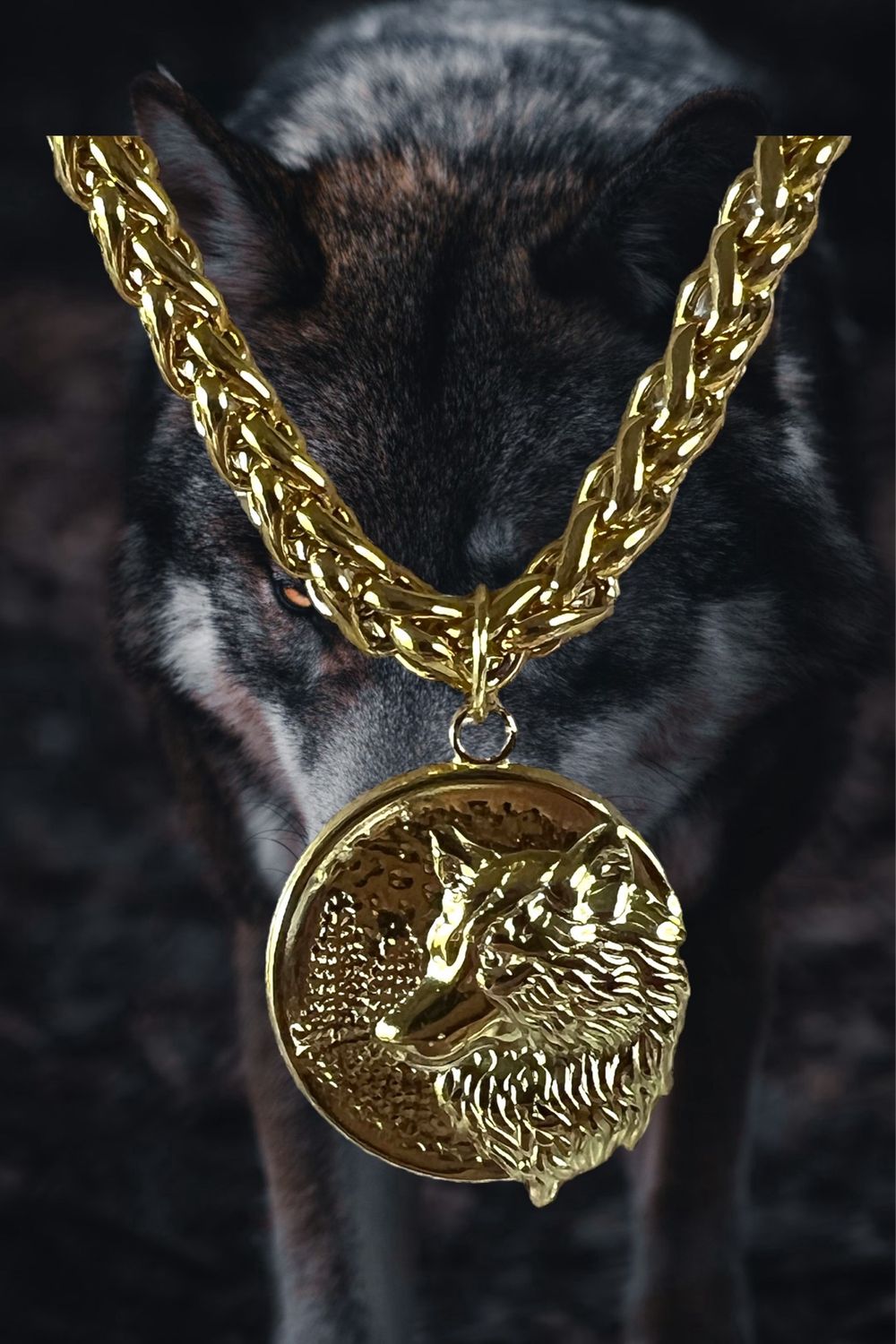 U7 Heavy Chain / Wolfs Head Medallion Stainless Steel, Gold Plated