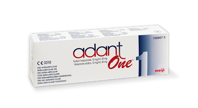 ADANT ONE ACIDO HIALURONICO INTRAARTICULAR 1 JERINGA 10 MG/ML 49 MG