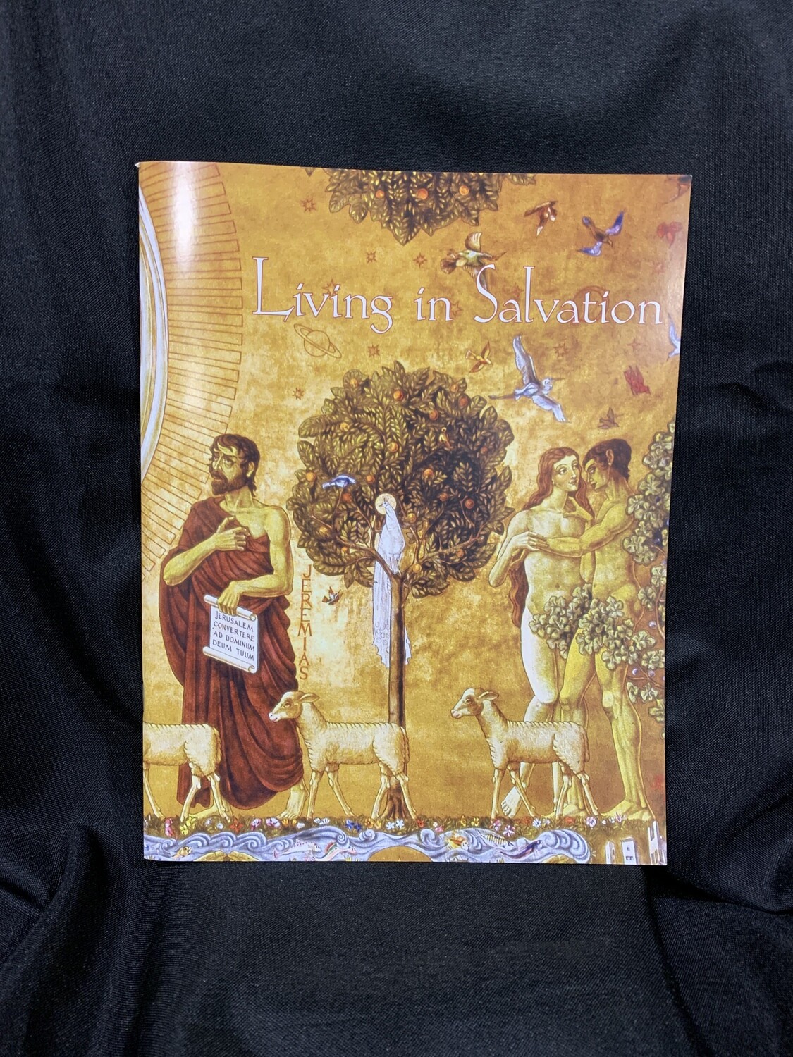 Living In Salvation Murals - Gregory de Wit By Adam Begnaud, OSB