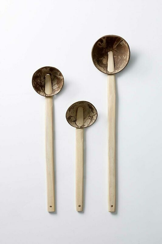 Coconut Spoon Set