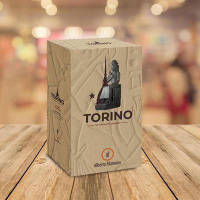Torino - 132 faraoniche domande