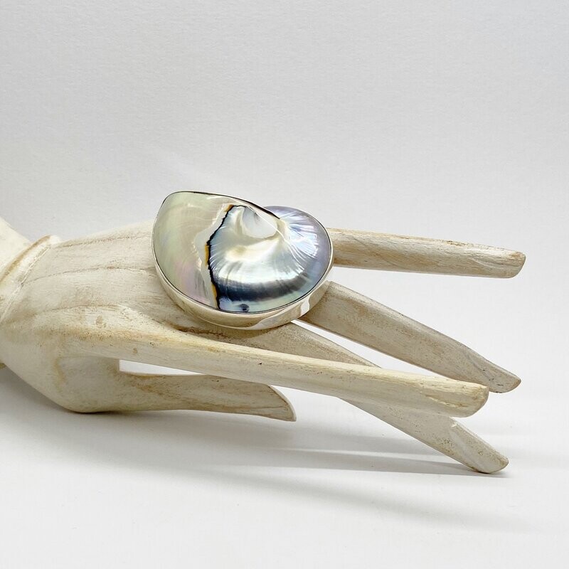 Ring Nautilusmuschel - 4 x 5,5 cm Ring Nautilusmuschel - 4 x 5,5 cm