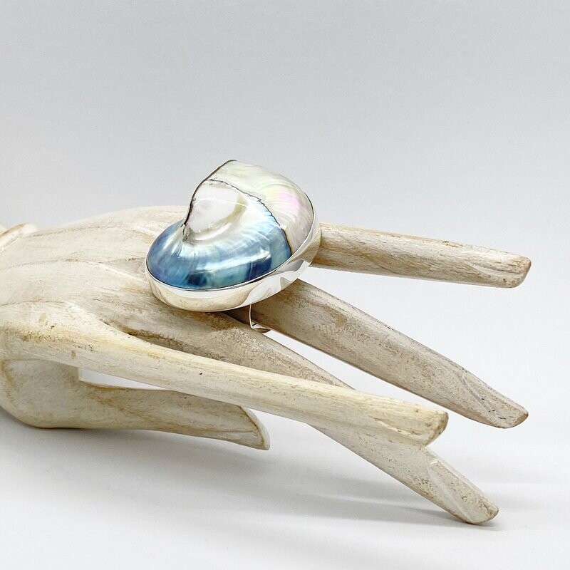 Ring Nautilusmuschel (quer) - 4 x 5 cm Ring Nautilusmuschel (quer) - 4 x 5 cm