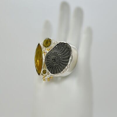 Ring Ammonite / Obsidian goldbraun - 3,5 x 4 cm