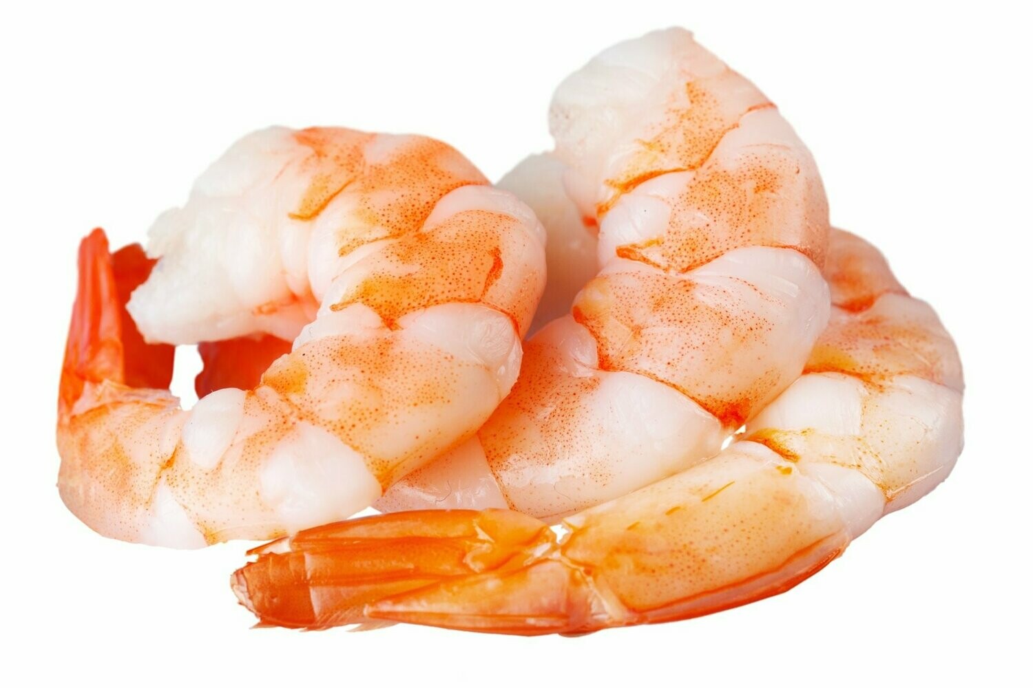 Cooked Cleaned Jumbo Shrimp (16-20ct)