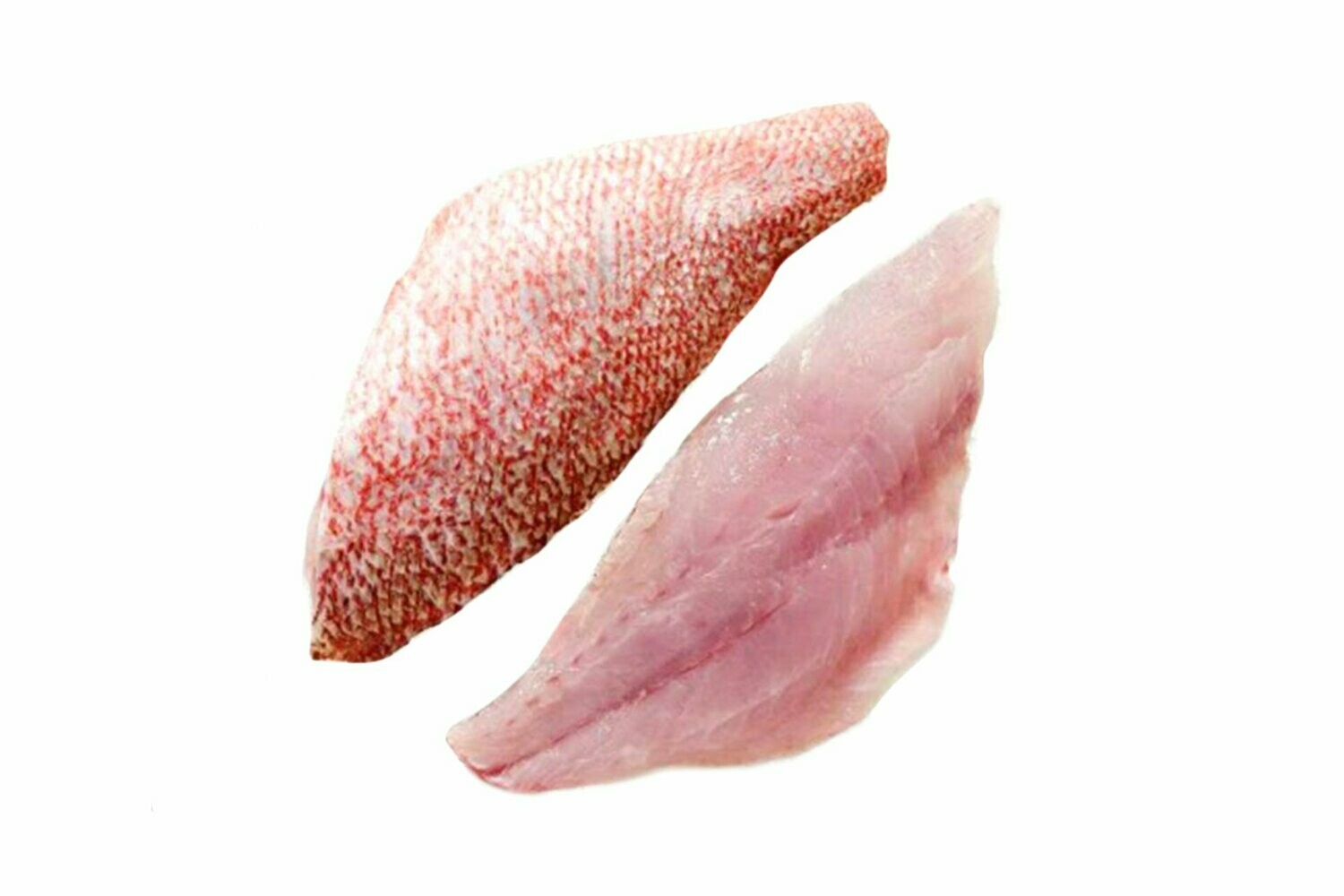 snapper fillet snapper fillet