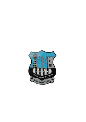 TOW LAW TOWN PIN BADGE