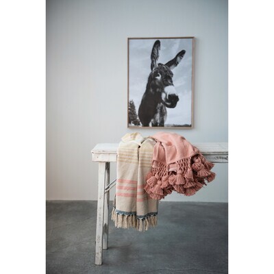 Creative Co-Op Striped Throw w/ Fringe
