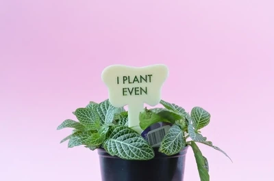 TGG I Plant Even plant stake