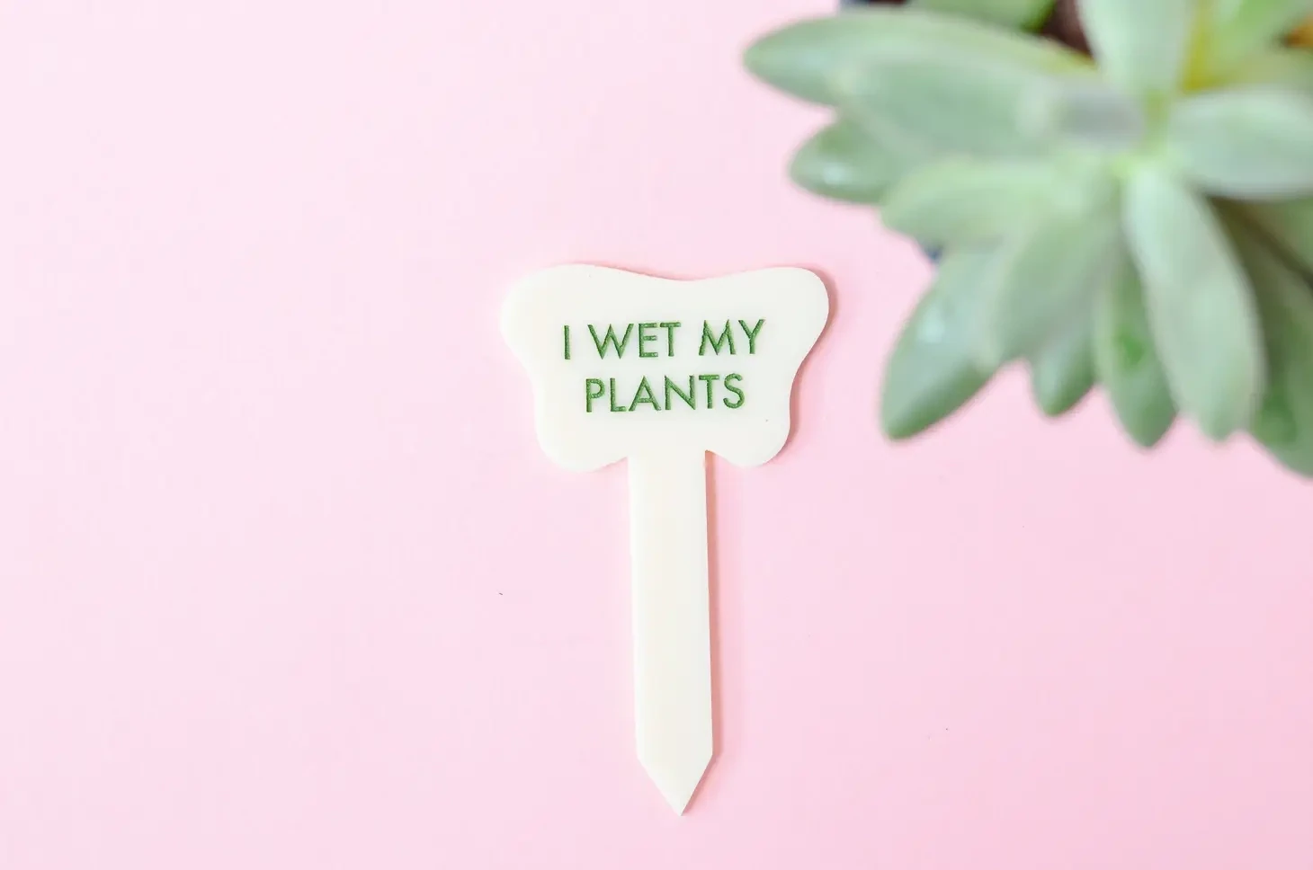 TGG I Wet My Plants stake