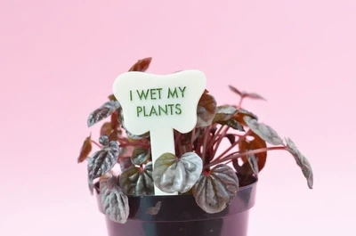 TGG I Wet My Plants stake