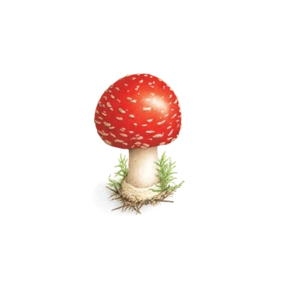 Tattly mushroom