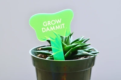 TGG Neon Grow Dammit Stake