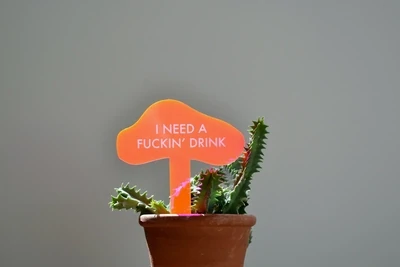 TGG Neon I Need A Drink Plant Stake
