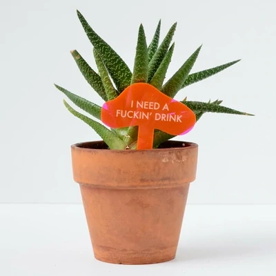 TGG Neon I Need A Drink Plant Stake