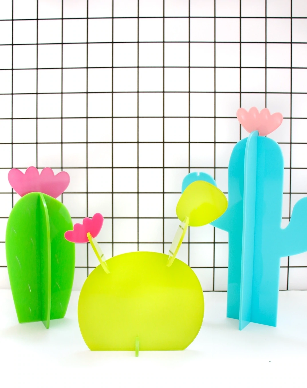 Kailo Chic Acrylic Cactus Set
