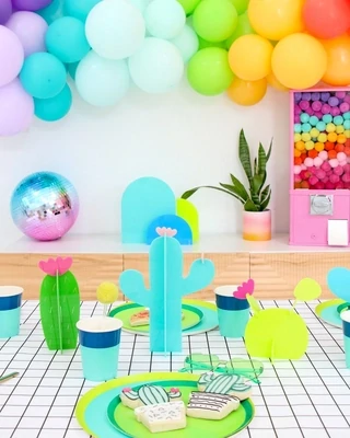 Kailo Chic Acrylic Cactus Set