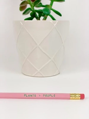 TGG Pencil Plants > People
