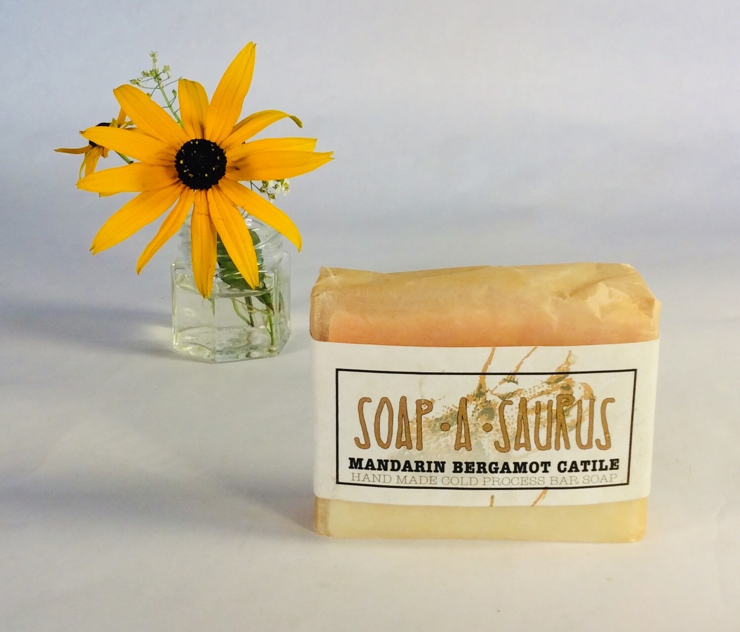 soap, bar, all-natural, handmade, Mandarin Bergamot Castile; Soap-A-Saurus; each soap, bar, all-natural, handmade, Mandarin Bergamot Castile; Soap-A-Saurus; each