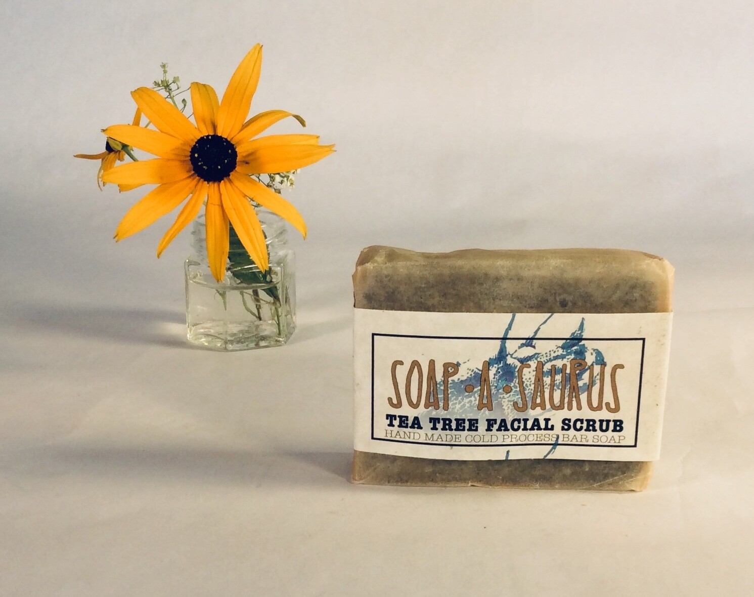 soap, bar, all-natural, handmade, Tea Tree Facial Scrub; Soap-A-Saurus; each soap, bar, all-natural, handmade, Tea Tree Facial Scrub; Soap-A-Saurus; each
