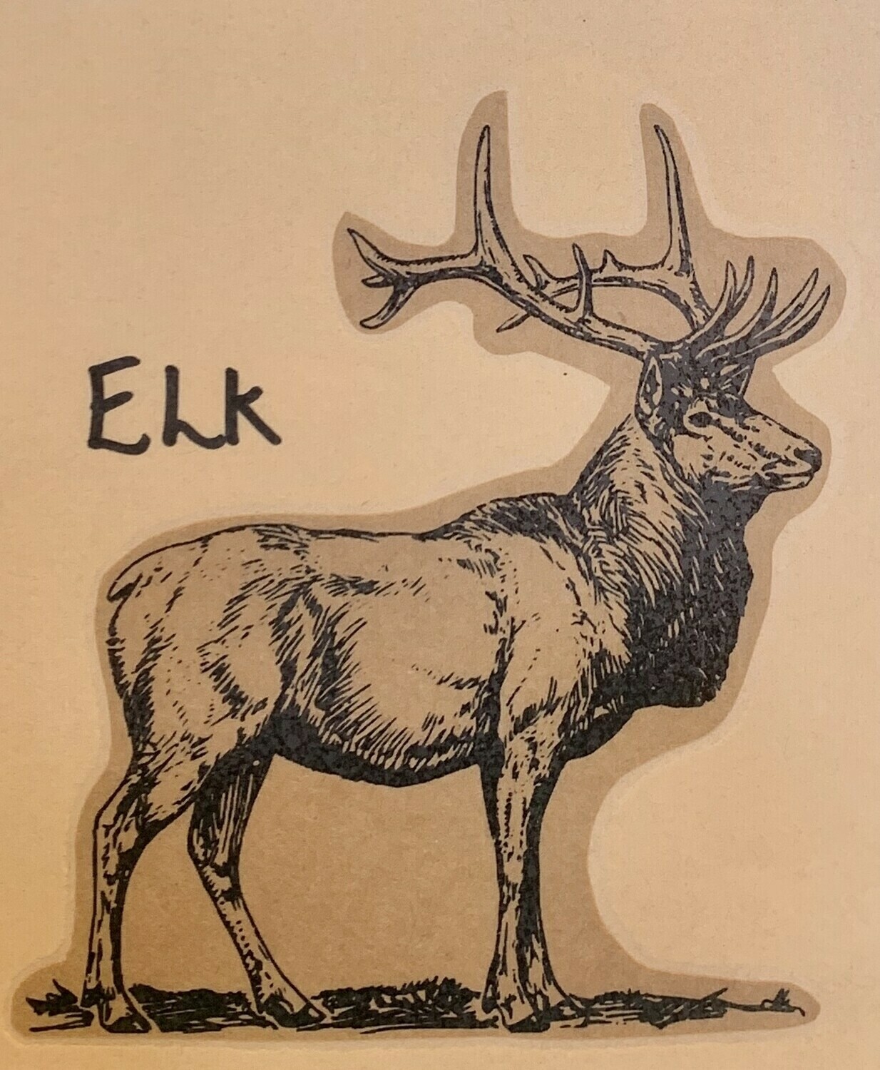 elk, patties; 4 pack; Shaffer Farm elk, patties; 4 pack; Shaffer Farm