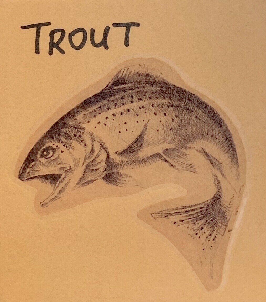 trout, filet; per pack; VA Trout Co. trout, filet; per pack; VA Trout Co.