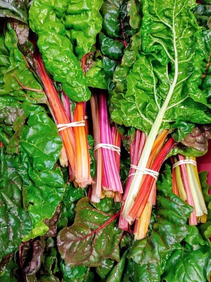 swiss chard; bundle; Sickler Farm swiss chard; bundle; Sickler Farm