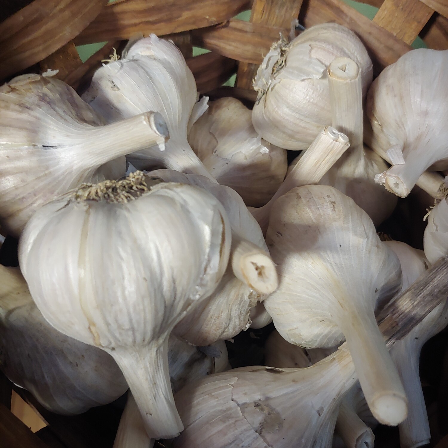 garlic, each; Garrett Growers garlic, each; Garrett Growers