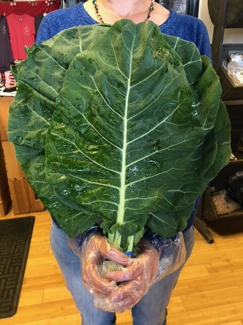 collards, bunch; Sickler Farm collards, bunch; Sickler Farm