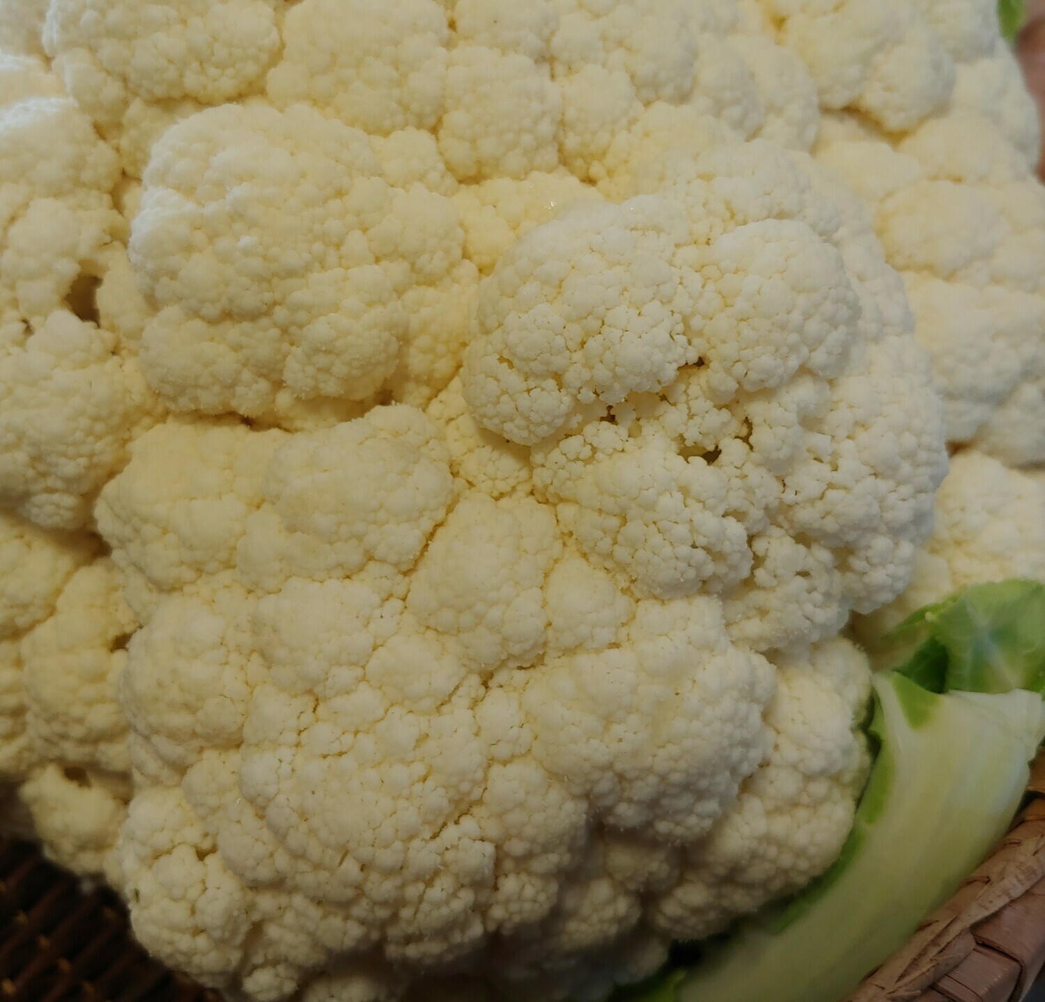 cauliflower, avr 1.6# bag; Garrett Growers cauliflower, avr 1.6# bag; Garrett Growers