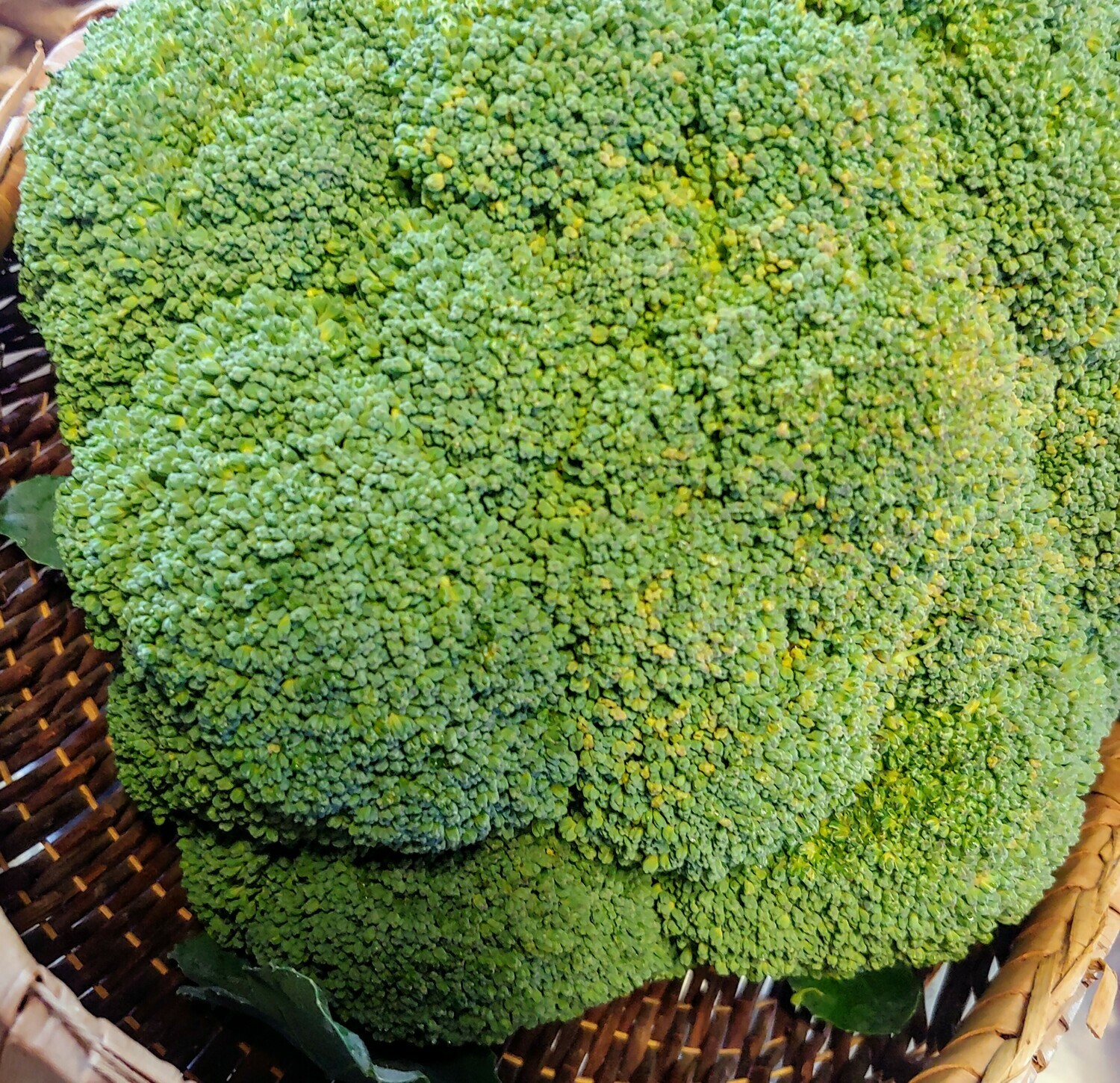 broccoli, per head; Garrett Growers broccoli, per head; Garrett Growers