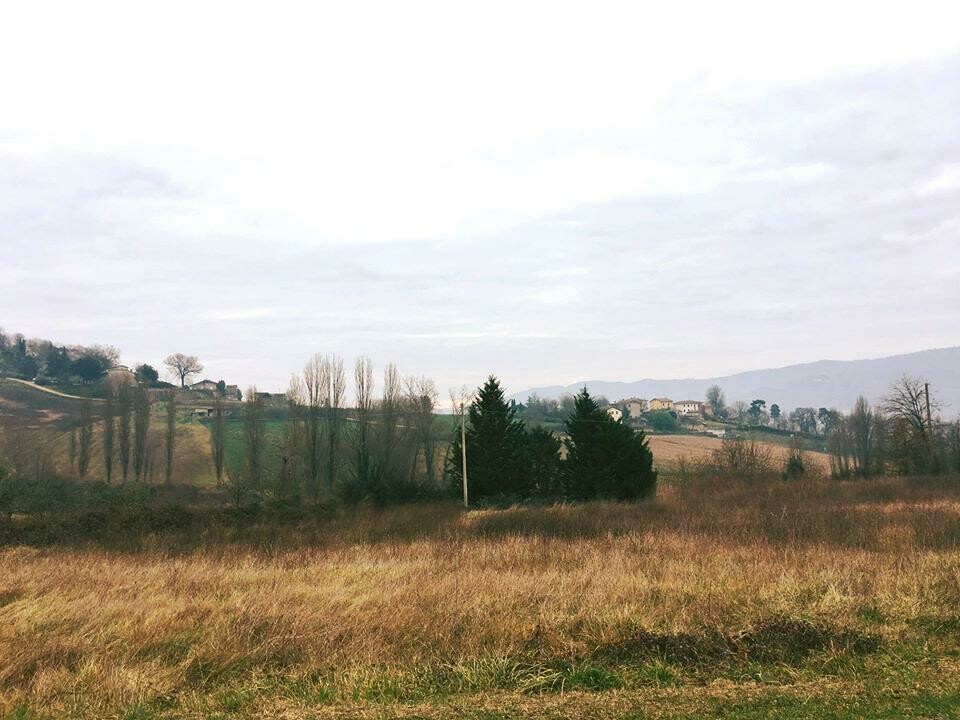 ​VICINANZE TRESTINA. Appezzamento di terreno agricolo di 700 mq
