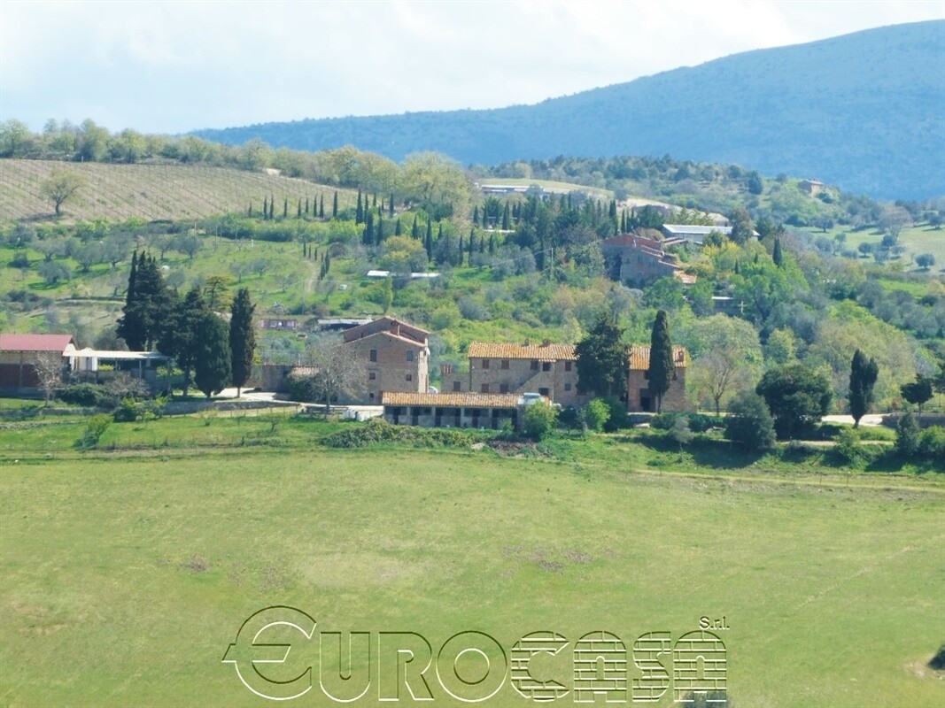 PASSIGNANO SUL TRASIMENO. Azienda agrituristica biologica